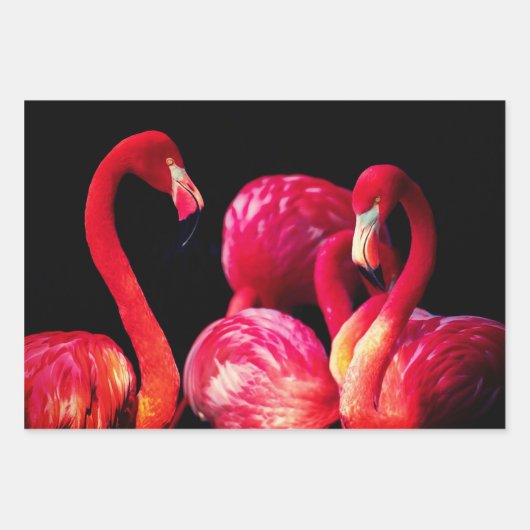 Flamingo Gift Wrap Sheets Geschenkpapier Set (Vorderseite)