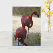 Flamingo Grußkarte für jeden Anlass Karte (Gelbe Blume)