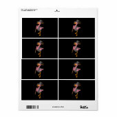 Flamingo Halloween | Flamingo Witch Cool Pink Bird (Vorne)