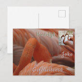 Flamingo hat die Kruste Nah. Happy Birthday Postca Postkarte (Vorne/Hinten)