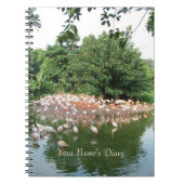 Flamingo-Herdentagebuch Notizblock (Vorderseite)