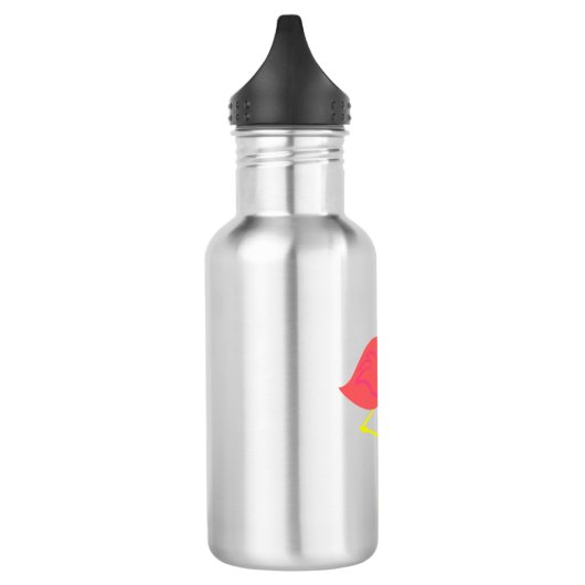 "Flamingo ich verrückte" thermische Flasche durch Edelstahlflasche (Links)