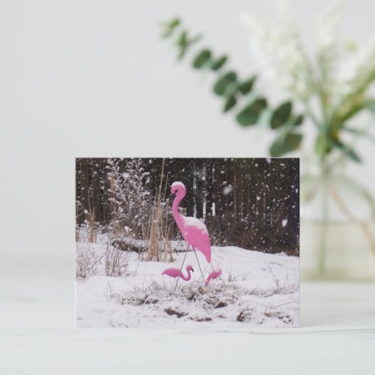 Flamingo im Schnee Postkarte (Stehend Vorderseite)