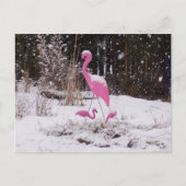 Flamingo im Schnee Postkarte (Vorderseite)