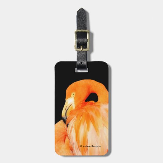 Flamingo in der Sommersonne Gepäckanhänger (Vorderseite vertikal)