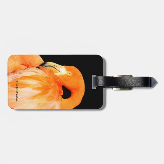 Flamingo in der Sommersonne Gepäckanhänger (Rückseite horizontal)