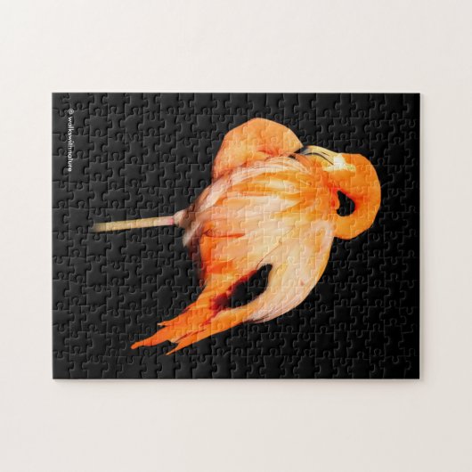 Flamingo in der Sommersonne Puzzle (Horizontal)