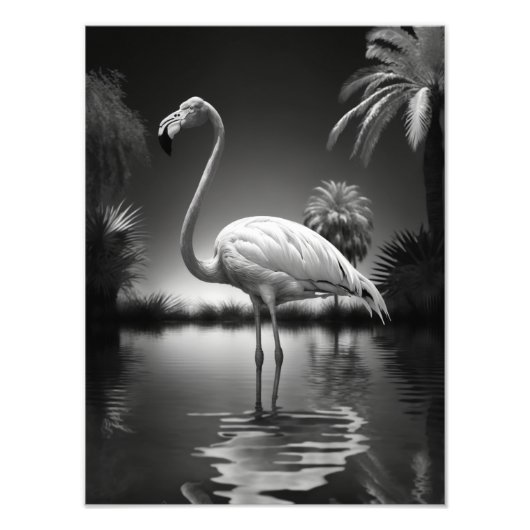 Flamingo in einem Pool Fotodruck (Vorne)