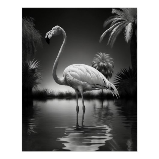 Flamingo in einem Pool Poster (Vorderseite)