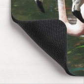 Flamingo in einem Teich mit grünen Bäumen Mousepad (Ecke)