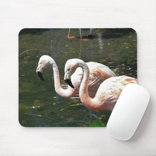 Flamingo in einem Teich mit grünen Bäumen Mousepad (Mit Mouse)