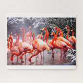 Flamingo Jigsaw Puzzle (Horizontal)