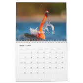 Flamingo-Kalender 2017 Kalender (Mär 2027)