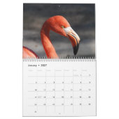 Flamingo-Kalender 2017 Kalender (Jan 2027)