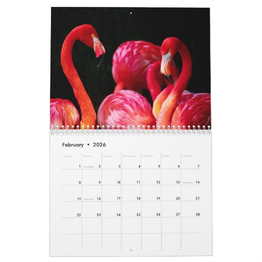 Flamingo-Kalender 2019 Kalender (Feb 2026)