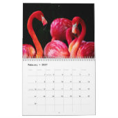 Flamingo-Kalender 2019 Kalender (Feb 2027)