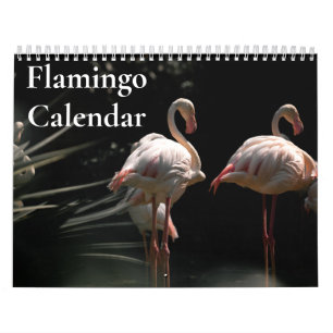 Flamingo-Kalender 2025 Kalender