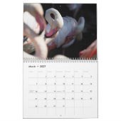 Flamingo-Kalender 2025 Kalender (Mär 2027)
