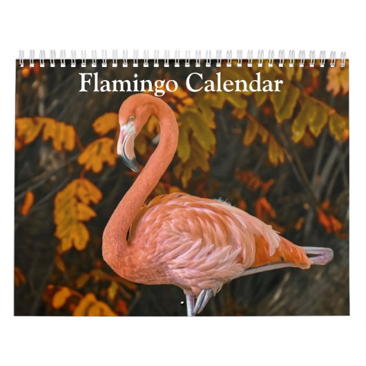 Flamingo-Kalender 2025 Kalender (Titelbild)
