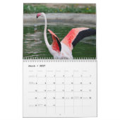 Flamingo-Kalender 2025 Kalender (Mär 2027)
