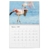 Flamingo-Kalender 2025 Kalender (Feb 2027)
