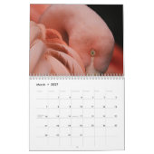 Flamingo-Kalender 2025 Kalender (Mär 2027)