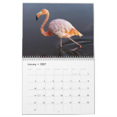 Flamingo-Kalender 2025 Kalender (Jan 2027)