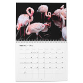 Flamingo-Kalender 2025 Kalender (Feb 2027)