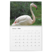 Flamingo-Kalender 2025 Kalender (Jan 2026)