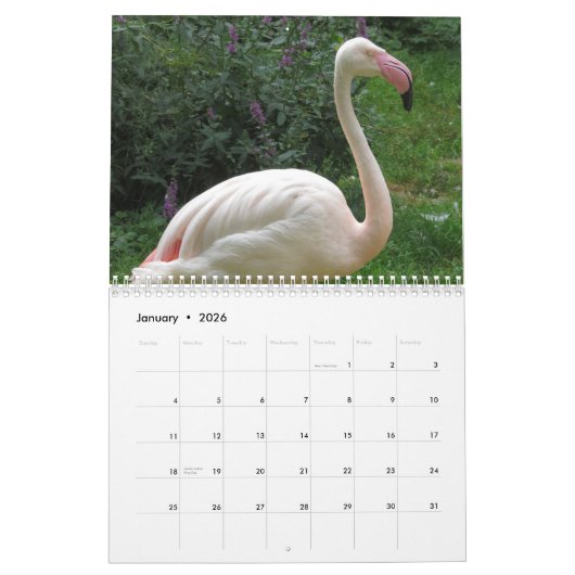 Flamingo-Kalender 2025 Kalender (Jan 2026)