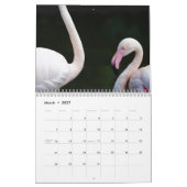 Flamingo-Kalender 2025 Kalender (Mär 2027)