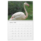 Flamingo-Kalender 2025 Kalender (Jan 2027)