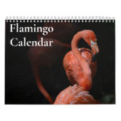 Flamingo-Kalender 2025 Kalender (Titelbild)