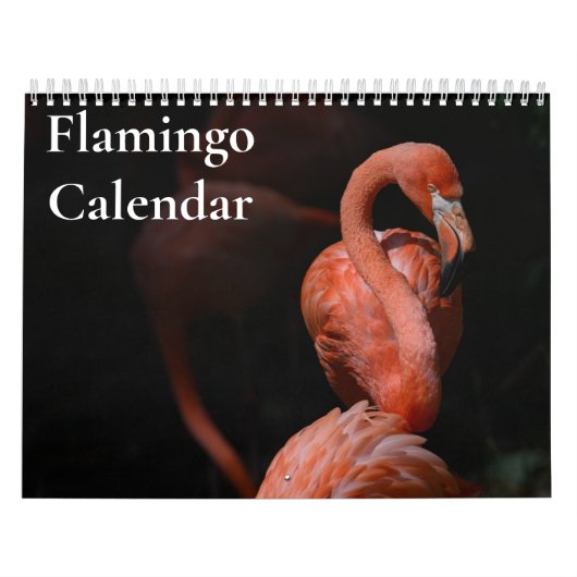 Flamingo-Kalender 2025 Kalender (Titelbild)