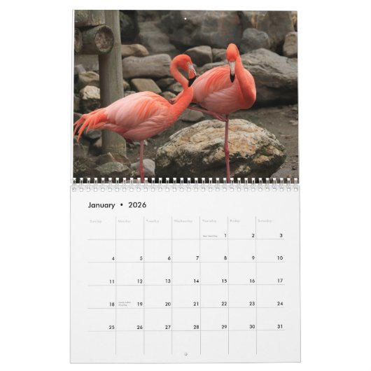 Flamingo-Kalender 2025 Kalender (Jan 2026)
