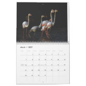 Flamingo-Kalender 2025 Kalender (Mär 2027)