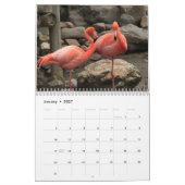 Flamingo-Kalender 2025 Kalender (Jan 2027)