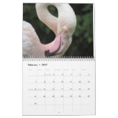 Flamingo-Kalender 2025 Kalender (Feb 2027)