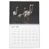 Flamingo-Kalender 2025 Kalender (Mär 2026)