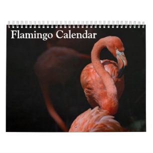 Flamingo-Kalender 2025 Kalender