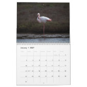 Flamingo-Kalender 2025 Kalender (Jan 2027)