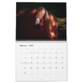 Flamingo-Kalender 2025 Kalender (Feb 2027)