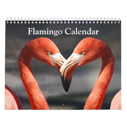 Flamingo-Kalender 2027 Kalender (Titelbild)