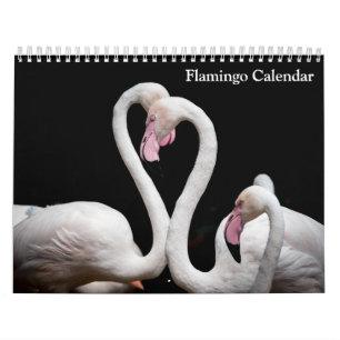 Flamingo-Kalender 2027 Kalender