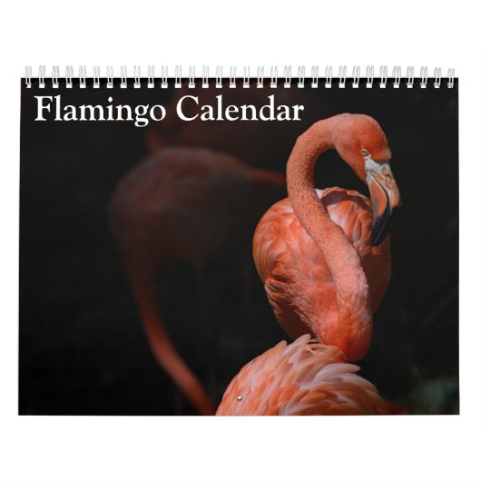 Flamingo-Kalender 2027 Kalender (Titelbild)