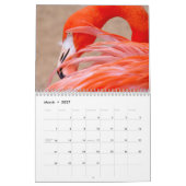 Flamingo-Kalender Kalender (Mär 2027)