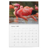 Flamingo-Kalender Kalender (Jan 2027)