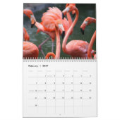 Flamingo-Kalender Kalender (Feb 2027)