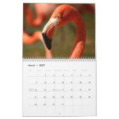 Flamingo-Kalender Kalender (Mär 2027)