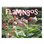 Flamingo-Kalender Kalender (Titelbild)